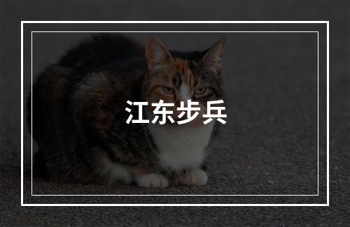 江东步兵
