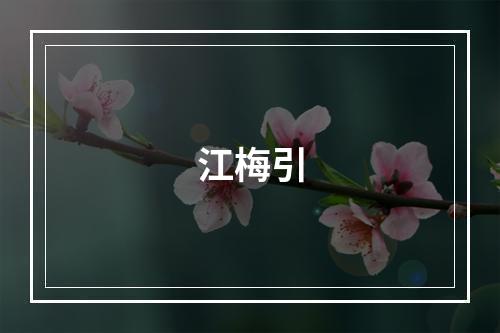 江梅引