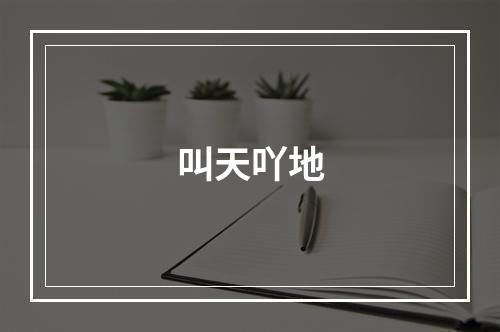 叫天吖地