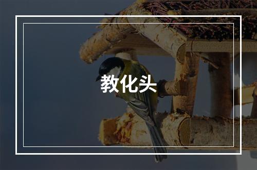 教化头