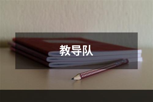 教导队