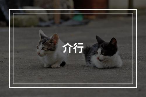 介行