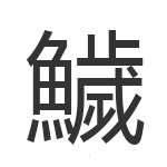 鱥