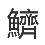 鱭