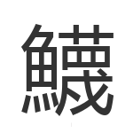鱴