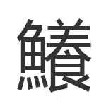 鱶