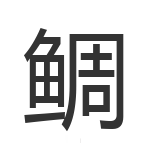 鲷