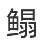 鳎