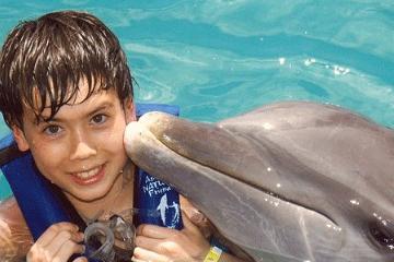 2023年11月宝宝起名（精选热门）