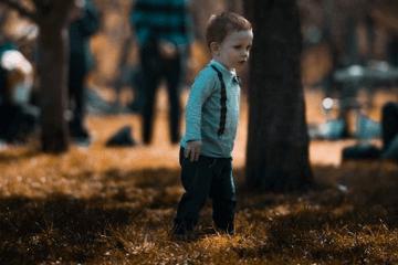 2023年11月出生的兔宝宝起名字（优选）