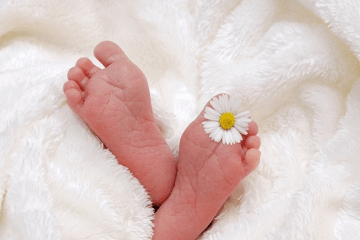 生僻却美到爆的宋词名字